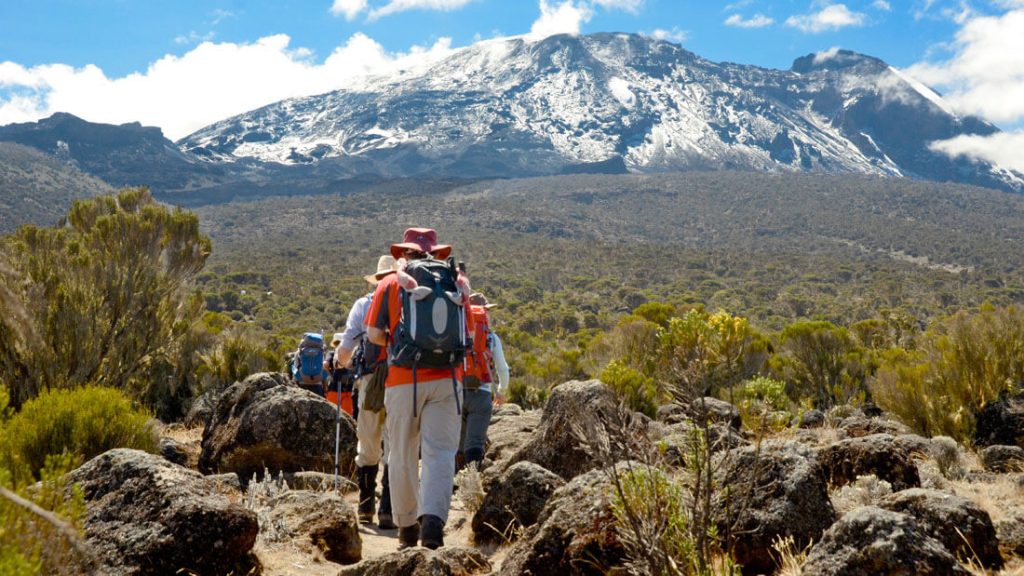 Hikers on the trail of mt kilimanjaro Tanzania jpg