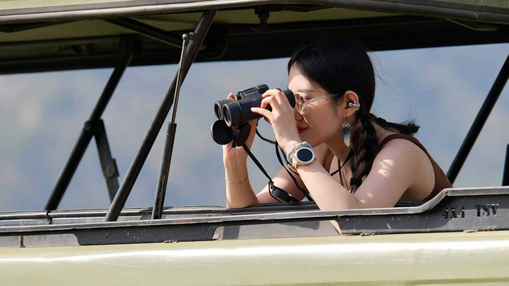 A tourist using binoculars to view wildlife Tanzania jpg
