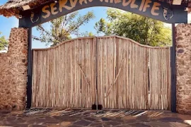 Day Trip to Serval Wildlife  Arusha, Tanzania