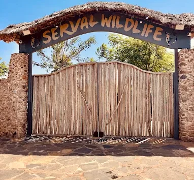 Day Trip to Serval Wildlife  Arusha, Tanzania